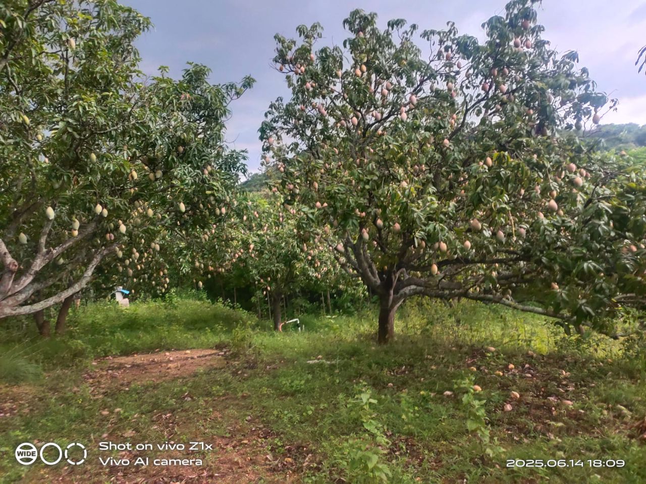 Farm moment 29