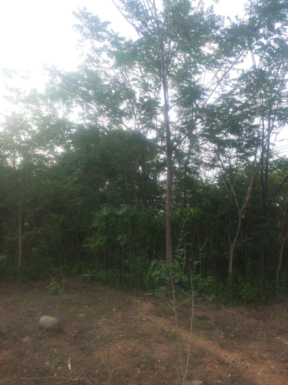Farm moment 4