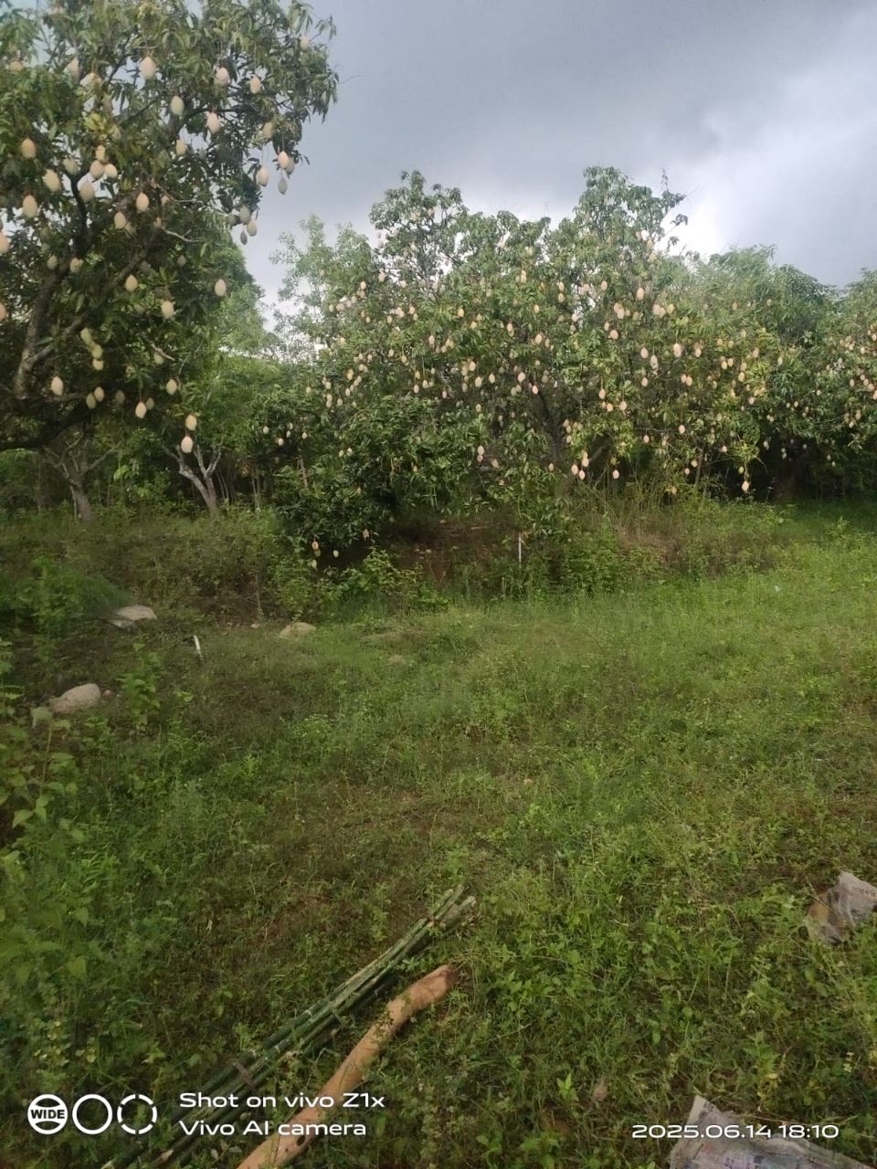 Farm moment 26